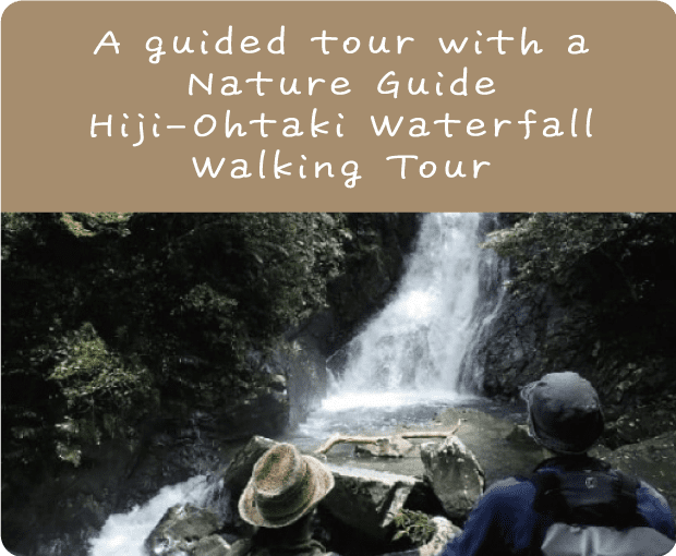 A guided tour with a Nature Guide Hiji-Ohtaki Waterfall Walking Tour