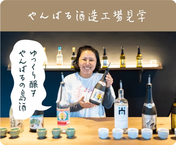 やんばる酒造工場見学