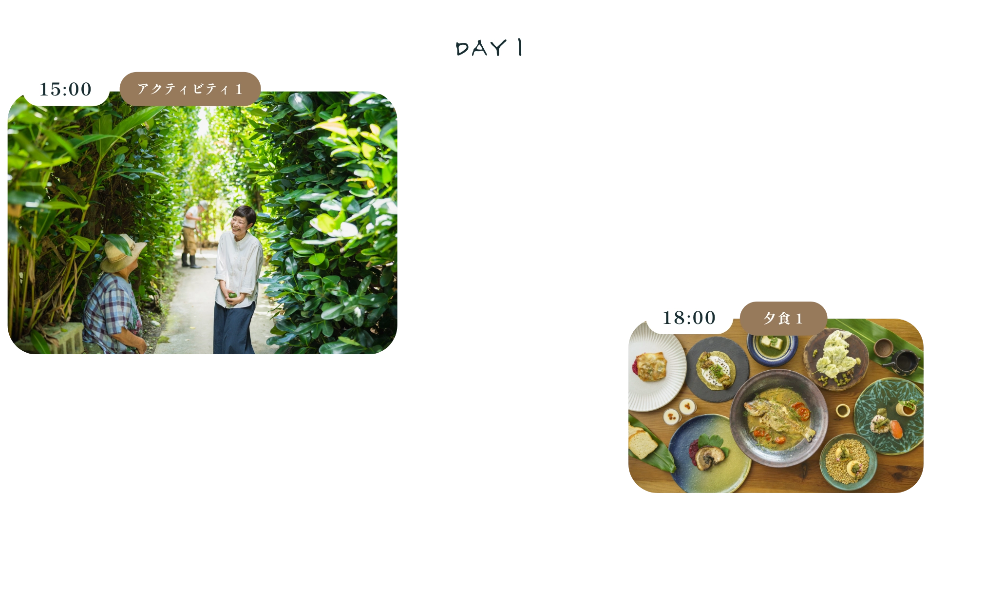 standardplan01